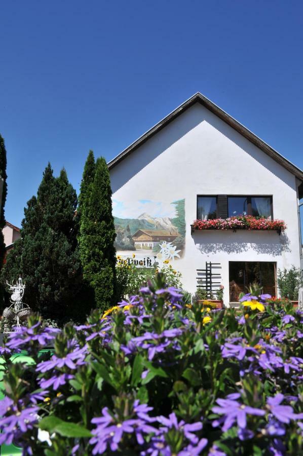 Egsdorf Apartment Edelweiss المظهر الخارجي الصورة
